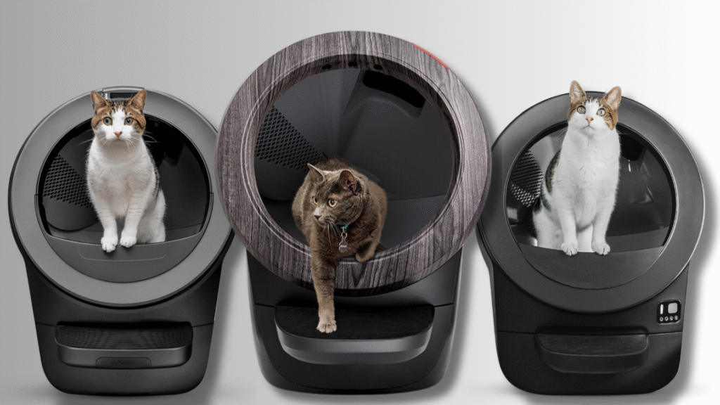 Litter-Robot picks every cat parent needs