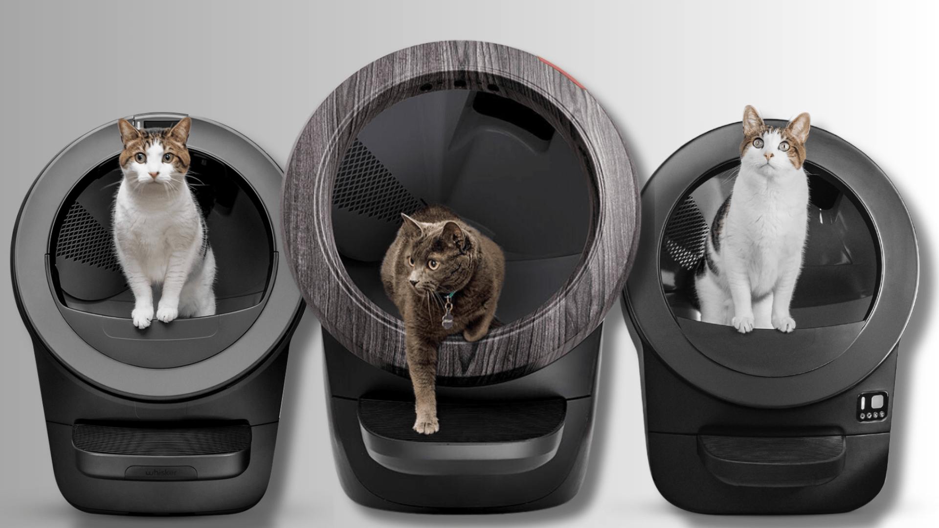 3 Purr-fect Litter-Robot Picks Every Cat Parent Needs