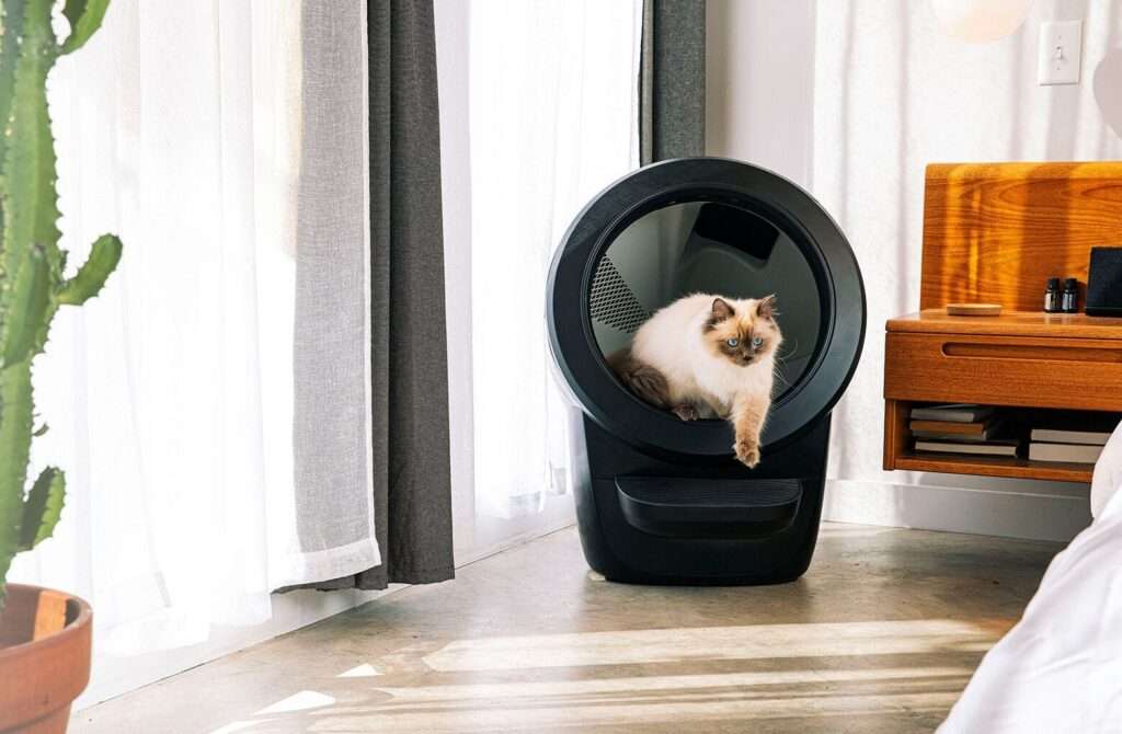 Litter-Robot 4 model with cat