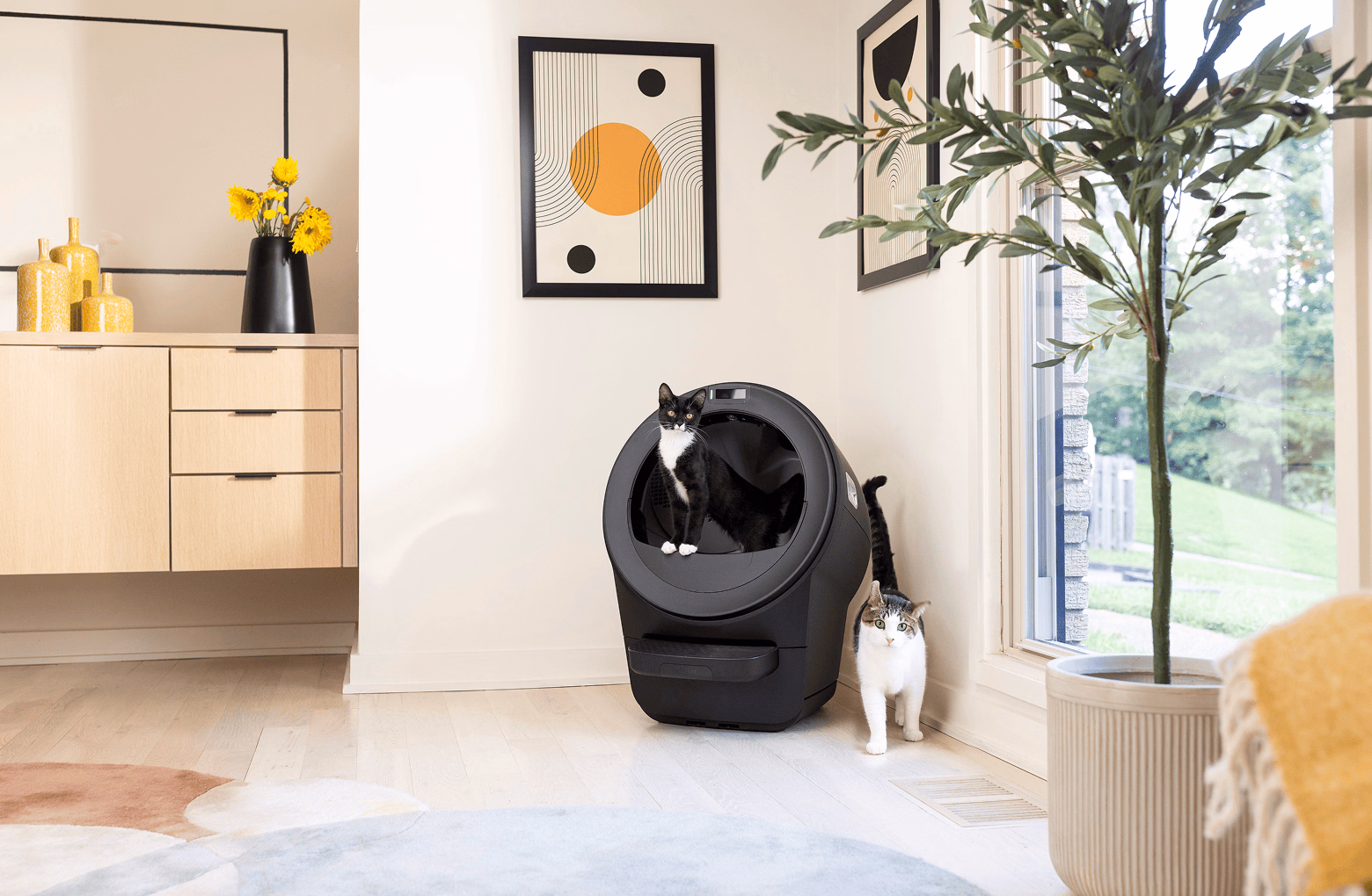Litter-Robot 5 model with two cats