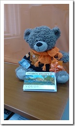 bear (1)