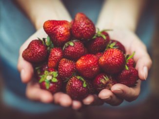 red, ripe strawberries