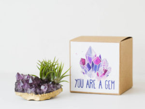 you rock gift set