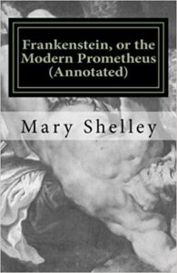 Frankenstein novel