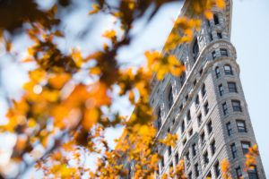 nyc in fall
