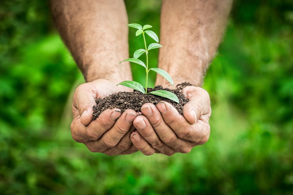 These Earth Day gift ideas will help you at your next gift exchange.